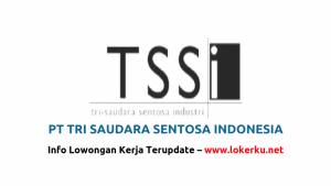 PT TSSI Staff